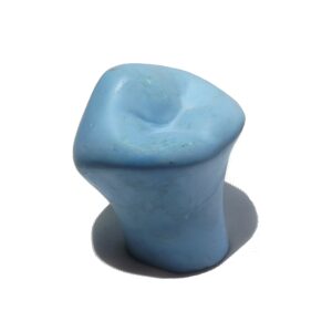 MACRODIENTE DE YESO ADULTO PREMOLAR INFERIOR