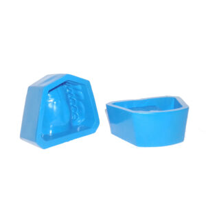 ZOCALO PARA MODELAR DENTADO (SUPERIOR E INFERIOR)